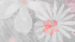 2021-09-16 23.33.53.jpg